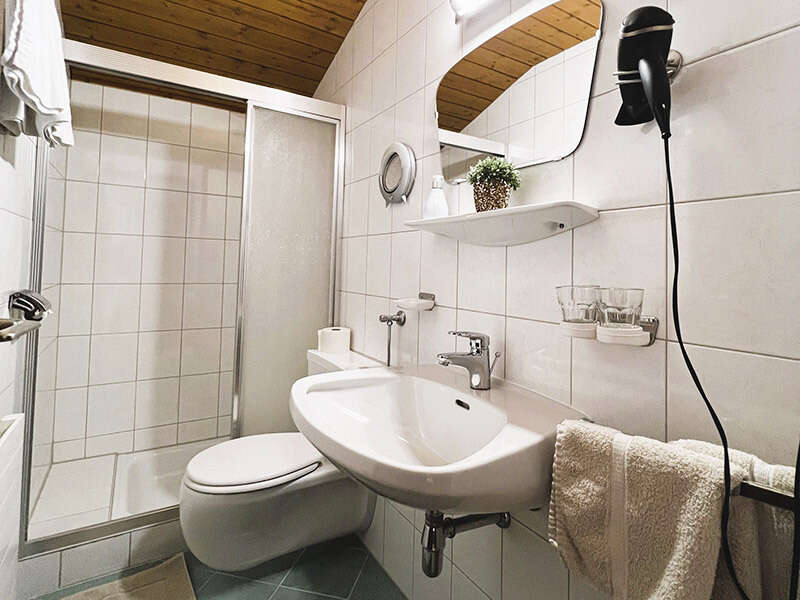 Badezimmer mit Dusche und WC im Zimmer 7 im Petererhof