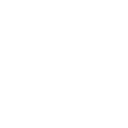 Skifahrer Icon